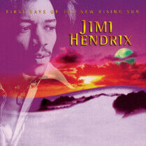 Hendrix, Jimi: First Rays of the New Rising Sun (2xVinyl)