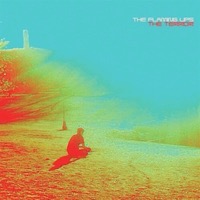 Flaming Lips: The Terror (CD)