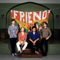 Grizzly Bear: Friend EP