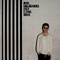 Noel Gallagher's High Flying Birds: Chasing Yesterday Dlx.