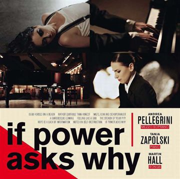 Hall, Pellegrini, Zapolski: If Power Asks Why