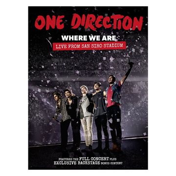 One Direction: Where We Are - Live From San Siro Stadium (DVD)
