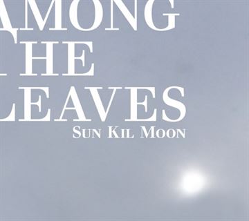 Sun Kil Moon: Among the Leaves