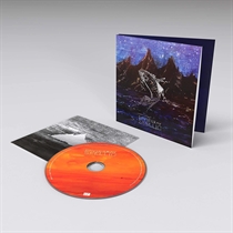 Gray, David: Skellig (CD)