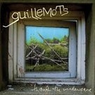 Guillemots: Through the window plane