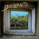 Guillemots: Through the window plane