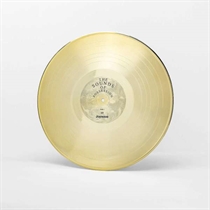 Joywave: Possession (Vinyl)