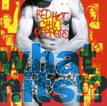 RED HOT CHILI PEPPERS - WHAT HITS? (CD)