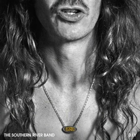 The Southern River Band - D.I.Y (Limited Vinyl edition)