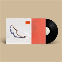 PJ Harvey - I Inside The Old Year Dying (Vinyl)