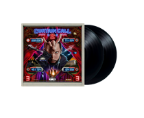 EMINEM - CURTAIN CALL 2 (Vinyl)