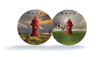 RUSH - SIGNALS (40th Anniversary Picture Disc Vinyl edition)
