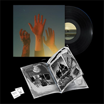 BOYGENIUS - THE RECORD (Vinyl)
