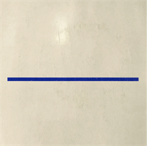 CARL EMIL PETERSEN - SKILLELINJEN (CD)