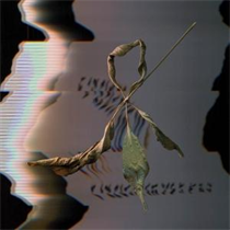 T. Gowdy - Trill Scan (Vinyl)