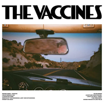 Vaccines, The - Pick-Up Full Of Pink Carnations (CD)