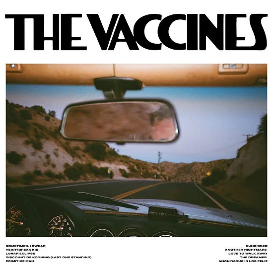 Vaccines, The - Pick-up Full of Pink Carnations (VINYL)