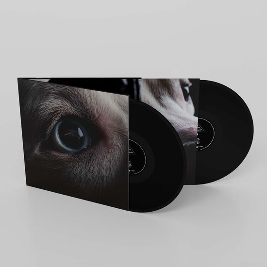 ROGER WATERS - THE DARK SIDE OF THE MOON REDUX (Vinyl)