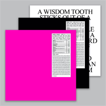 Amnesia Scanner & Freeka Tet - HOAX + STROBE.RIP (3xVinyl)