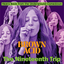 Various Artists - Brown Acid - The Nineteenth Trip (Vinyl)