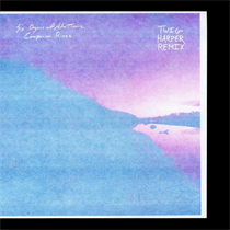 Six Organs of Admittance - Companion Rises (Twig Harper Remix) (Vinyl)