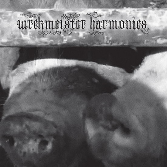 Wrekmeister Harmonies - Flowers in the Spring (Vinyl)