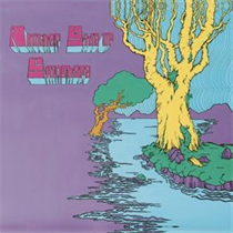 Skinshape - Another Side Of Skinshape (Vinyl)