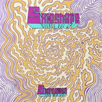 Skinshape - Stornoway / Can You Play Me A Song? (Vinyl)