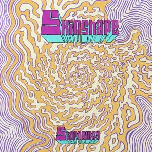 Skinshape - Stornoway / Can You Play Me A Song? (Vinyl)