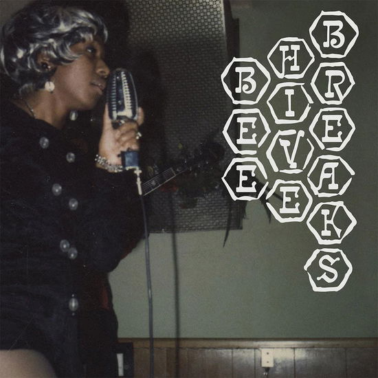 VARIOUS ARTISTS - BEEHIVE BREAKS (Vinyl)