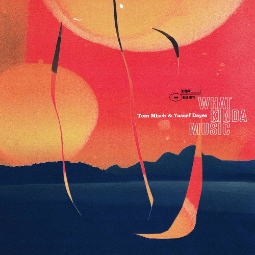 TOM MISCH, YUSSEF DAYES - WHAT KINDA MUSIC (Vinyl)