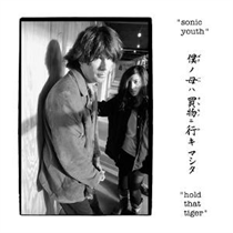 Sonic Youth - Hold That Tiger (2xVinyl)