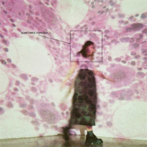 SOCCER MOMMY - SOMETIMES, FOREVER (Vinyl)
