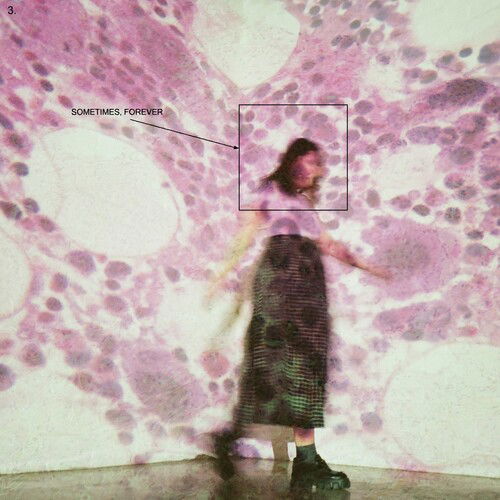 SOCCER MOMMY - SOMETIMES, FOREVER (Vinyl)