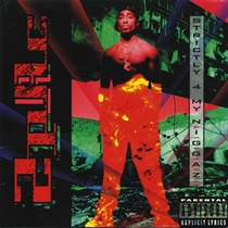 2pac: Strictly 4 My Niggaz (CD)