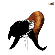 Coil - Black Antlers (2x Ltd Clear Vinyl) 