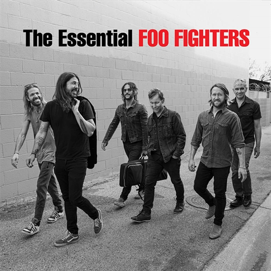 Foo Fighters - The Essential Foo Fighters (2xVinyl)