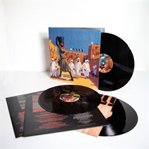 The Mars Volta - The Bedlam In Goliath (VINYL)