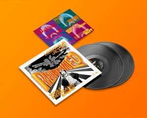 Various Artists - Wolf Biermann RE:IMAGINED - Li (2xVINYL)
