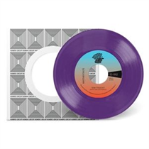 ANOTHER TASTE & MAXX TRAXX - DON'T TOUCH IT (LTD PURPLE VINYL) (Vinyl)