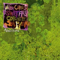 Animal Collective: Water Curses (EP)