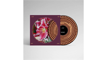 Richard Hawley - Coles Corner (Limited Zoetrope Vinyl edition)