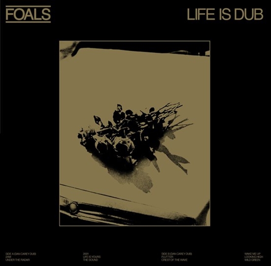 Foals - Life Is Yours (Life Is Dub) (Viynl) (RSD 2023)