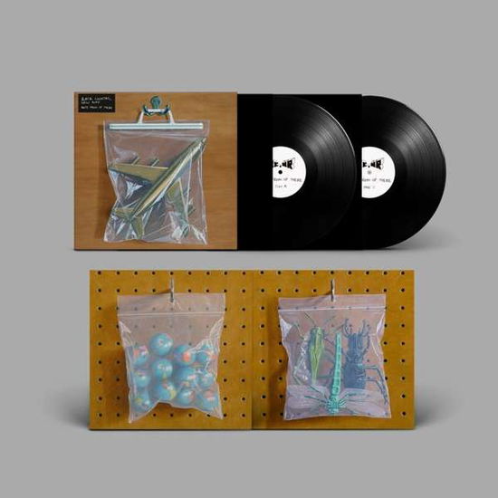 BLACK COUNTRY, NEW ROAD - ANTS FROM UP THERE (Vinyl)