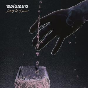 Sholto - Letting Go of Forever (2xVinyl)