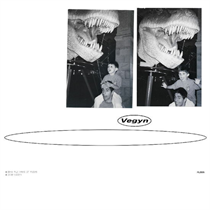 Vegyn - Only Diamonds Cut Diamonds (5 Year Anniversary Repress) (Vinyl)