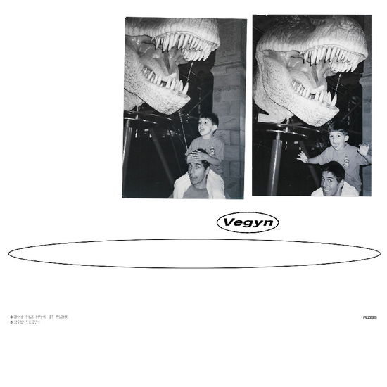 Vegyn - Only Diamonds Cut Diamonds (5 Year Anniversary Repress) (Vinyl)