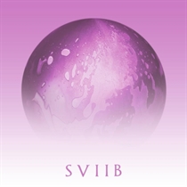 School Of Seven Bells: SVIIB (Vinyl)