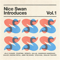 Various Artists - NICE SWAN INTRODUCES VOLUME I (Vinyl)
