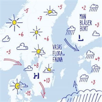VASAS FLORA OCH FAUNA - MAN BLÅSER BORT (Vinyl)